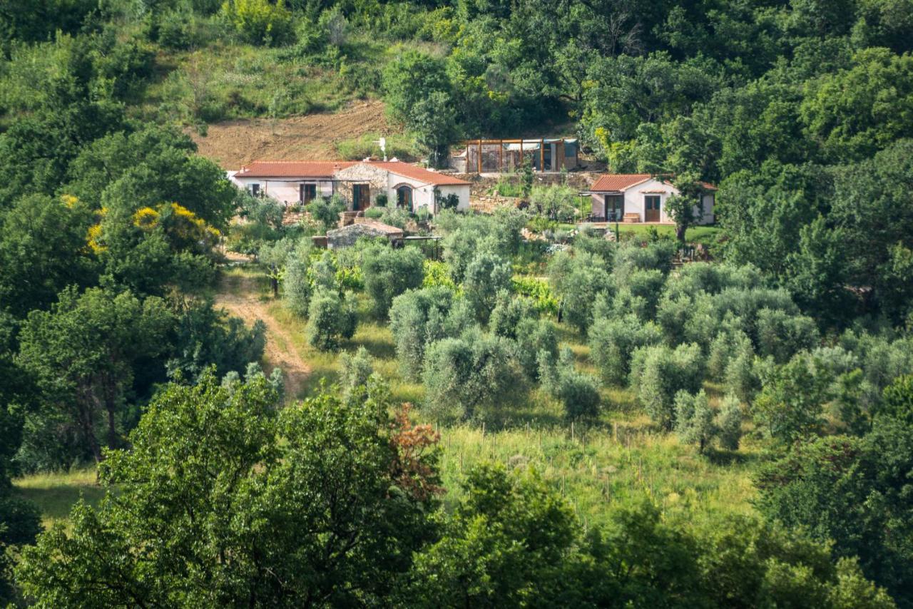 Agriturismo Fontenuova ساتورنيا المظهر الخارجي الصورة