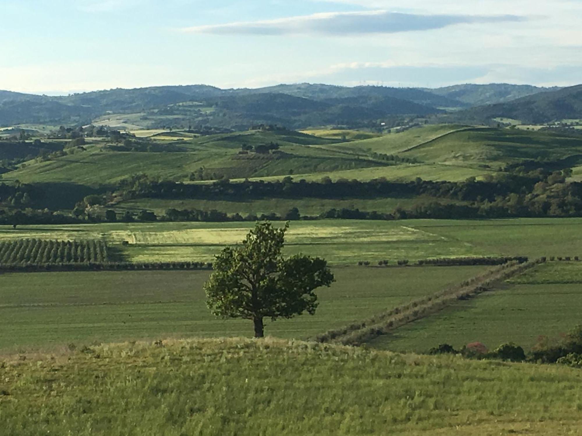 Agriturismo Fontenuova ساتورنيا المظهر الخارجي الصورة